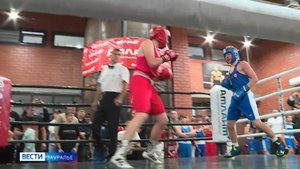 В Кургане прошёл турнир по боксу, посвящённый 148-й годовщине со дня рождения Феликса Дзержинского