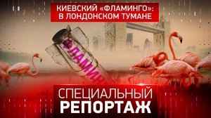 Киевский «Фламинго»: в лондонском тумане