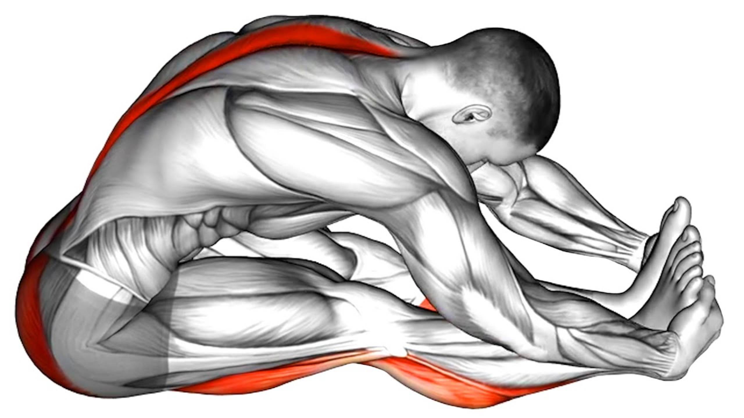 Утренняя Растяжка (лучшие Упражнения на Растяжку)