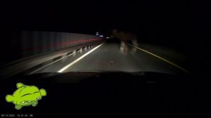 ого, как повезло🍀