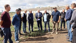 Эффективная поддержка животноводов и сельхозтоваропроизводителей