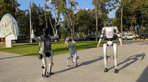 Робособака нашла себе друзей