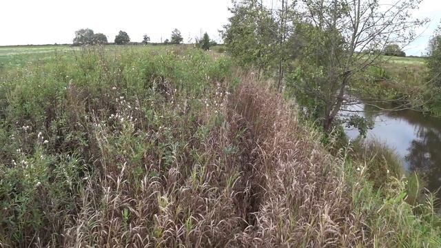 Охота на утку на каналах в Московской области смотреть онлайн