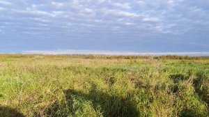 Очень хочется копать