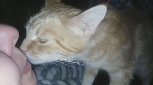 22-2022 Кто-то выбросил, а я взяла себе! __ Elena Pero