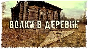 ЗАБРОШЕННАЯ ДЕРЕВНЯ "ВОЛКИ В ДЕРЕВНЕ"