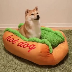 Интересная лежанка😅