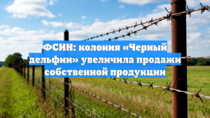ФСИН: колония «Черный дельфин» увеличила продажи собственной продукции