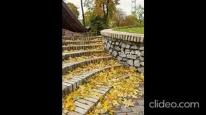 images-1-13_gK349vNE