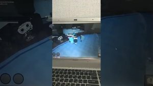 ТРАНСЛЯЦИЯ