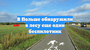 В Польше обнаружили в лесу еще один беспилотник