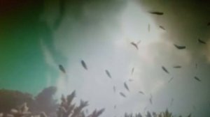 Любящая мной женщина,мне была трамплин. читает автор Богдан Бандура.