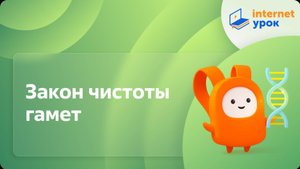 Закон чистоты гамет. Видеоурок по биологии 10 класс