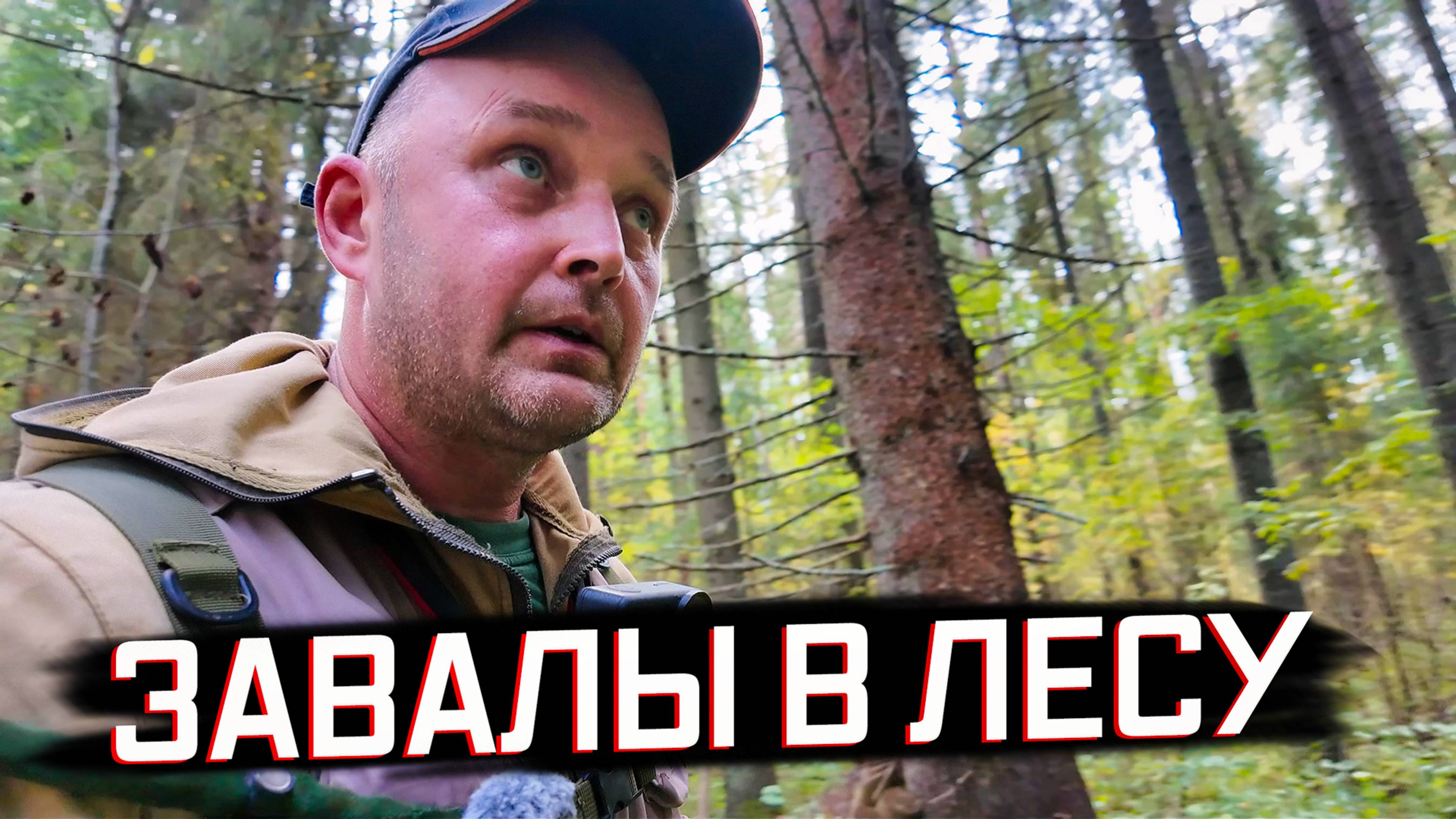 ОЧИЩАЮ ЛЕСНЫЕ ТРОПЫ К РЕКЕ | Бобры перегородили путь