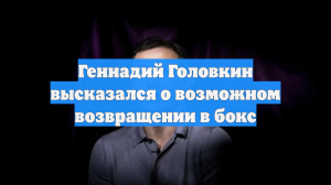 Геннадий Головкин высказался о возможном возвращении в бокс