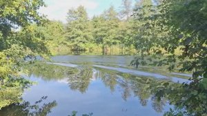 Бродский - Что хорошего в июле