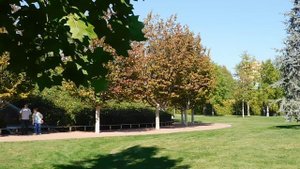 17=09=2025  КРАСНОДАР  ПАРК  ГАЛИЦКОГО.  (4)