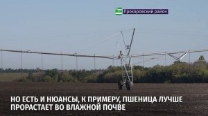 Аграрии начали высеивать озимые культуры