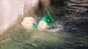 Кай сам получил удовольствие от игры и порадовал посетителей 15.09.2025