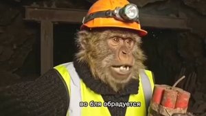 Жорик снова шахтер)
