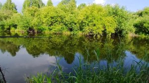 Отдыхаем на даче в России.Рыбалка в России, паримся в бане, купаемся в бассейне. Отдых, Развлечения