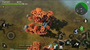 Frostborn Куда пропадают ресурсы с сундуков