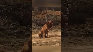 Прошло 4 года. Мы очень по тебе скучаем, тебя очень сильно не хватает