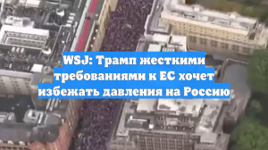 WSJ: Трамп жесткими требованиями к ЕС хочет избежать давления на Россию