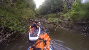 Сплав по реке Ускат на сапбордах. Терентьевское - Красулино. 14.09.2025г.