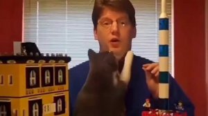 Котик любую новость сделает интересней