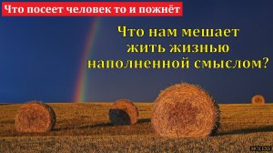 "Что посеет человек, то и пожнёт". С. Дулепов. МСЦ ЕХБ