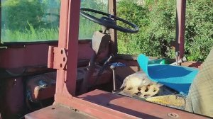 Трактор обзор