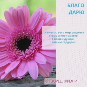 Благодарю за чувства и эмоции!