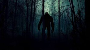 День 3 🌑 Тень