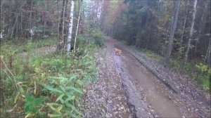 Первый в этом сезоне. Выезд 17.09.2025г.