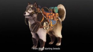 Kristala - Official Dev Diary #2: The Art of Agile Exploration