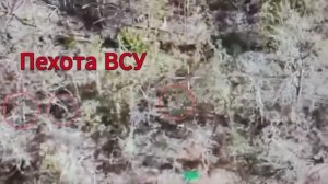 💥☠⚡57 орСпН громит пехоту ВСУ в районе Владимировки