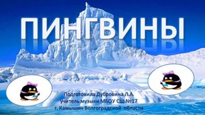 Минутка отдыха Пингвины