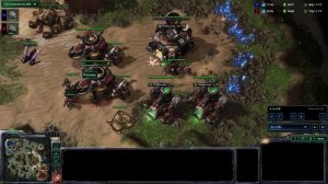 SC2 Сырный Медведь