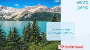 Благодарю за возможность дарить и получать заботу!