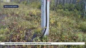 Криптоферму в глухом лесу возле Малого Голоустного обнаружили во время проверки линии электропередач