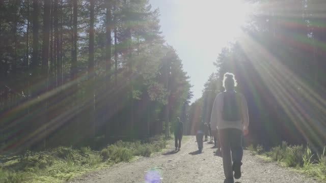 Турвыезд Глобал Портс на остров Кайонсаари 2025