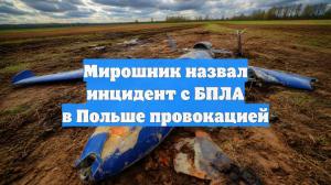 Мирошник назвал инцидент с БПЛА в Польше провокацией
