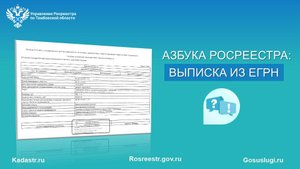 Азбука Росреестра: выписка из ЕГРН