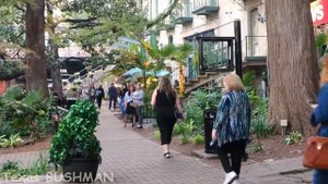 Bushman Prank_ Scary Humans 2021