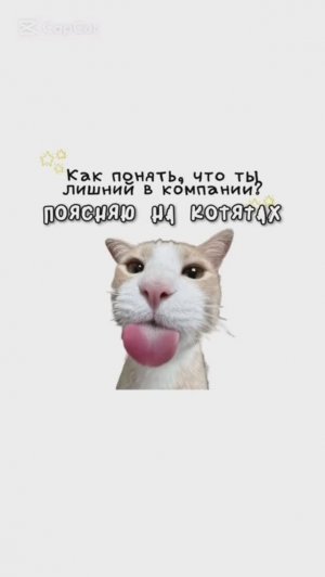 ПОЯСНЯЮ НА КОТЯТАХ / Как понять Что Ты Лишний в Компании? / Один день из Жизни ребенка Миллионеров