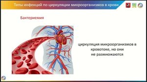 Эпидемиологический процесс. Понятие об ИСМП