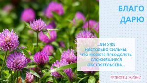 Благодарю за свое развитие и внутреннюю силу!