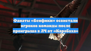 Фанаты «Бенфики» освистали игроков команды после проигрыша в ЛЧ от «Карабаха»