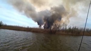 ВОТ ЭТО РЫБАЛКА! ВСЁ СГОРЕЛО! Весенний жор. Рыбалка на сазана. Спиннинг в дугу.